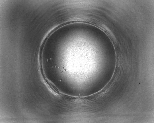 X0000071800796200607072050