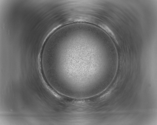 X0000071800798200607072050