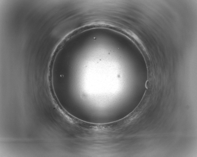 X0000071800799200607072050