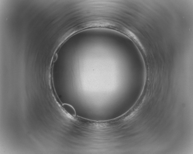 X0000071800802200607072050