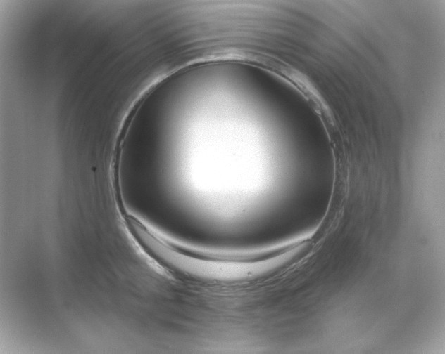 X0000071800805200607072050