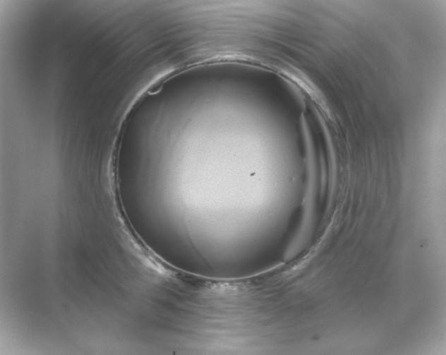 X0000071800806200607072050