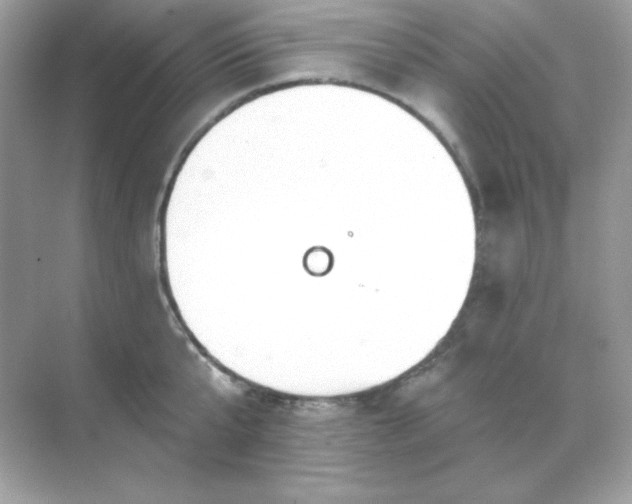 X0000071800807200607072050