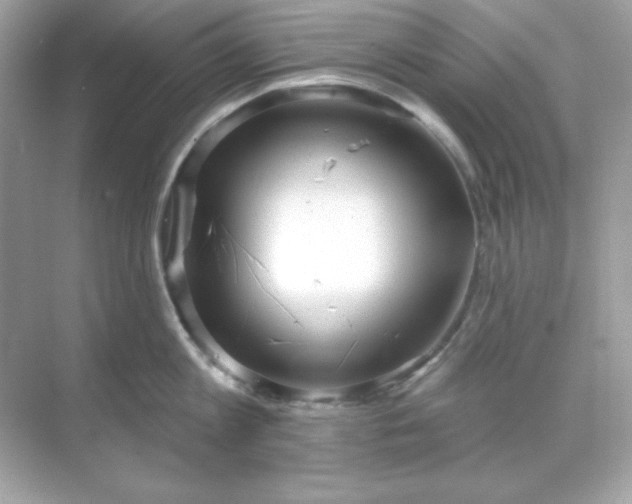 X0000071800813200607072050