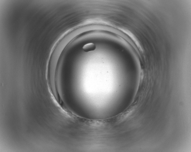 X0000071800815200607072050