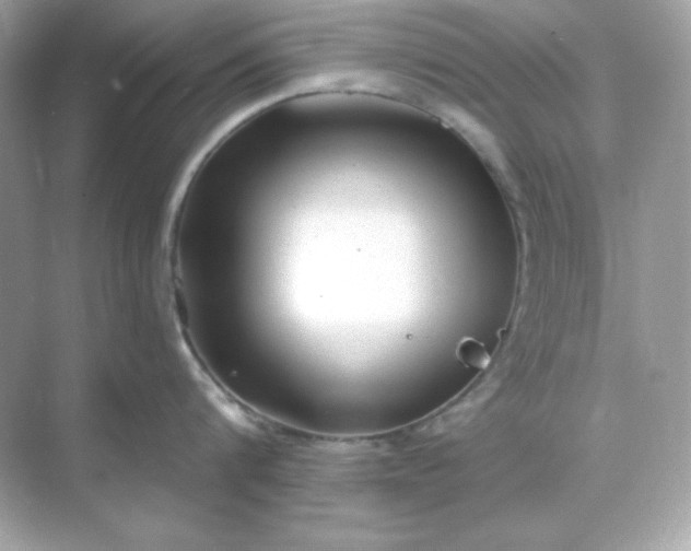 X0000071800816200607072050