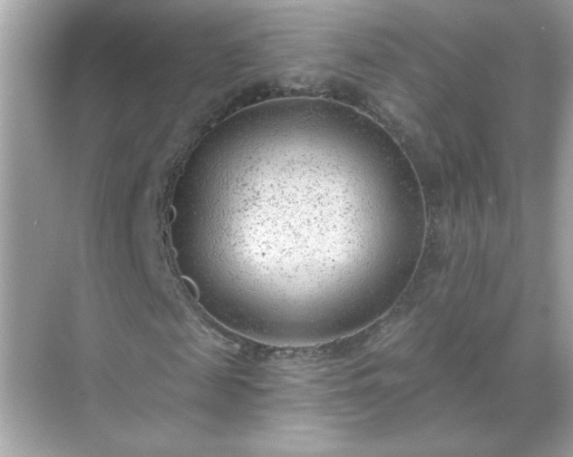 X0000071800817200607072049