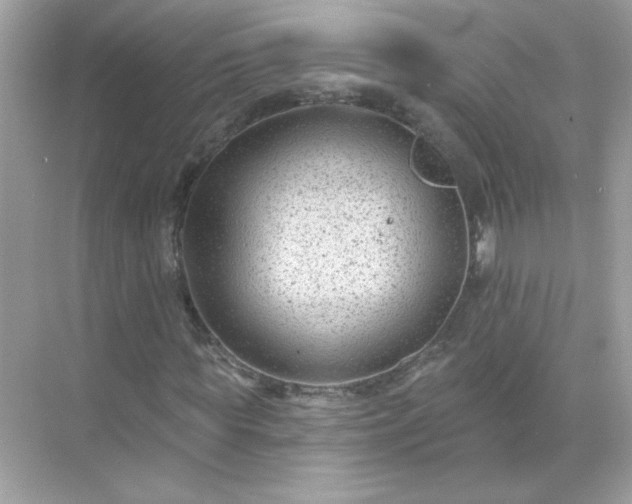 X0000071800819200607072049