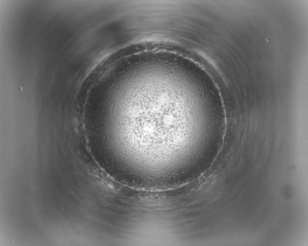 X0000071800823200607072049