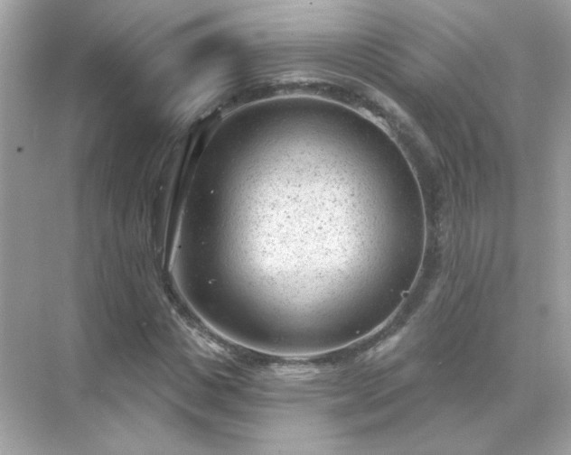 X0000071800825200607072049