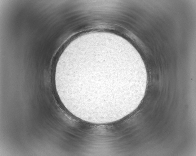 X0000071800828200607072049