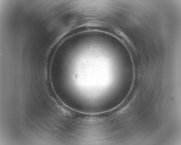 X0000071800829200607072049