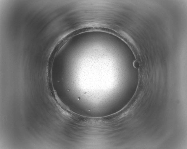 X0000071800831200607072049