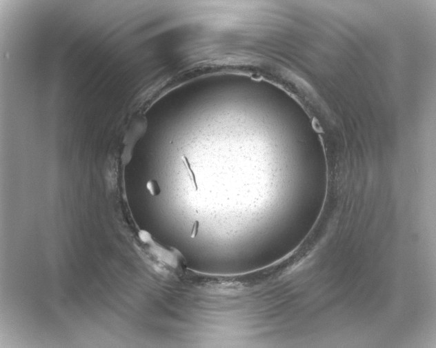 X0000071800833200607072049