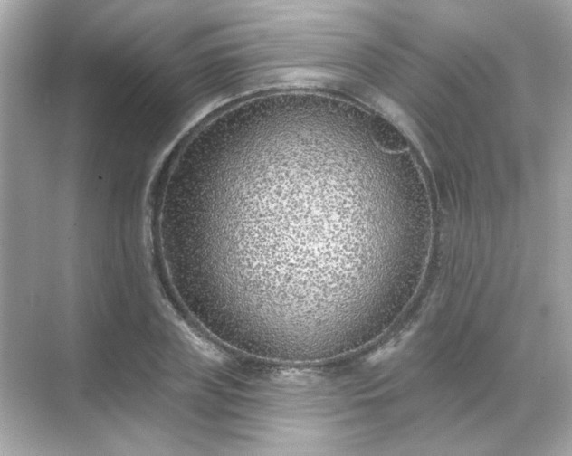 X0000071800835200607072049