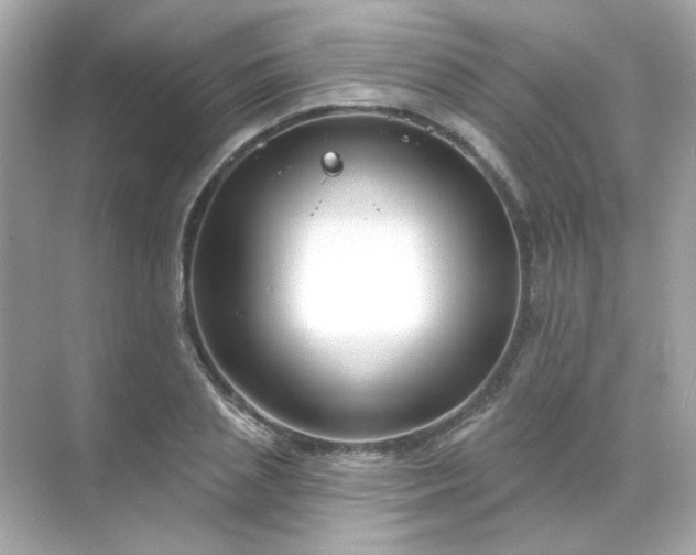 X0000071800837200607072049