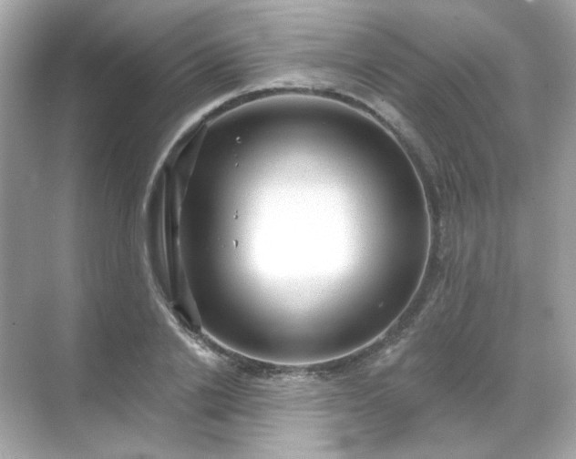 X0000071800838200607072049