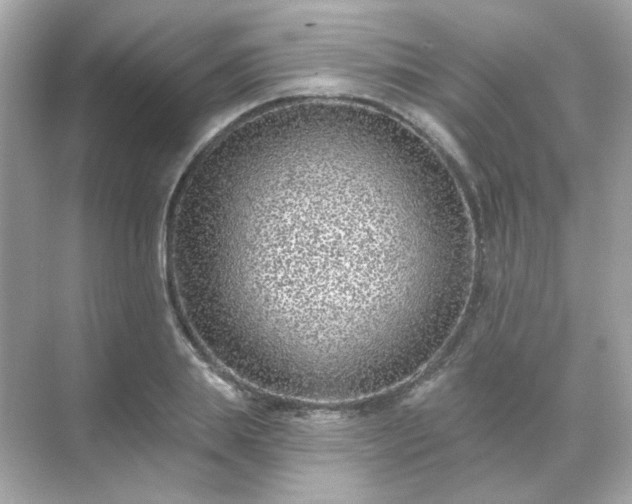 X0000071800839200607072049