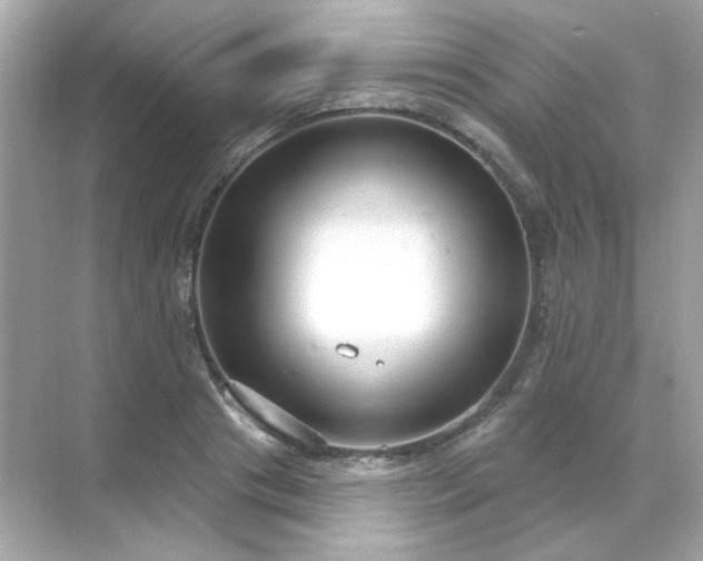 X0000071800841200607072049