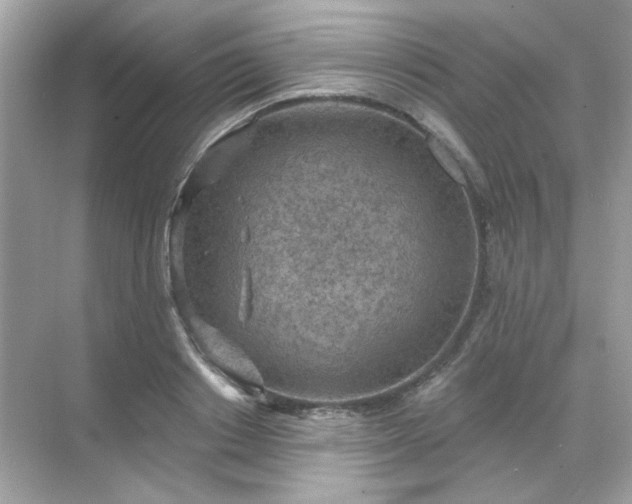 X0000071800842200607072049