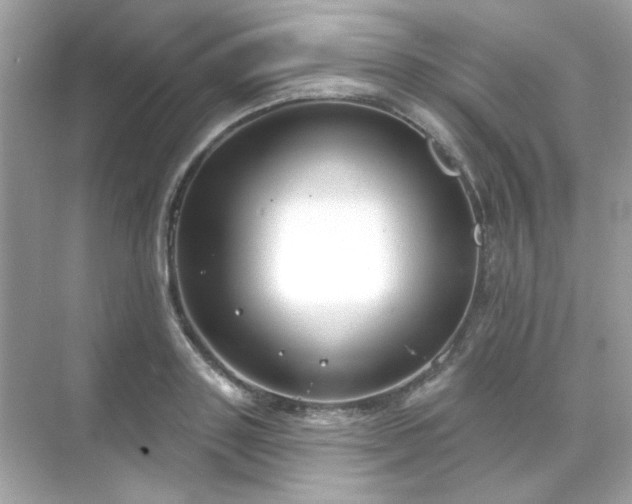 X0000071800843200607072049