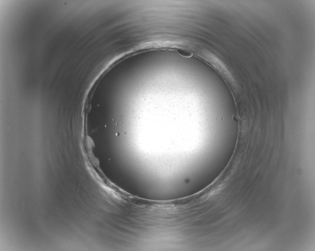 X0000071800844200607072049