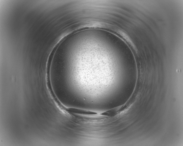 X0000071800845200607072049