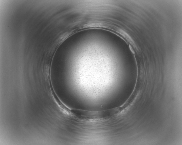 X0000071800849200607072050