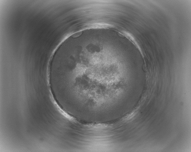 X0000071800851200607072050