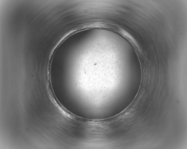 X0000071800852200607072050