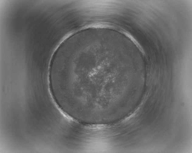 X0000071800853200607072050