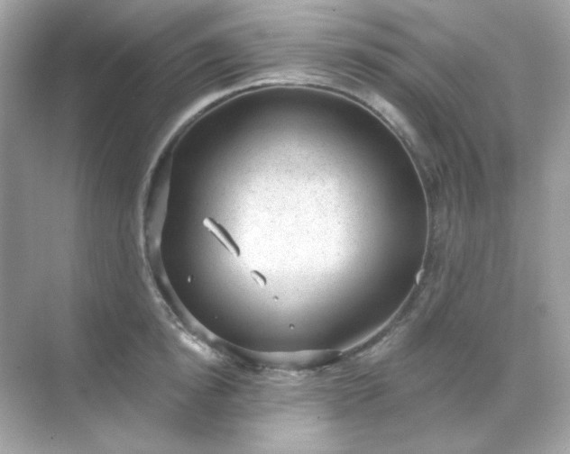 X0000071800854200607072050