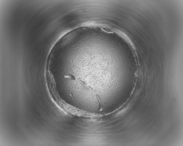 X0000071800855200607072050