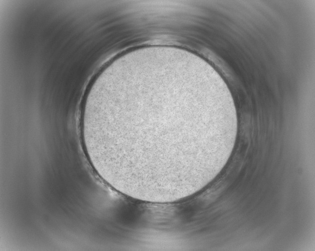 X0000071800856200607072050