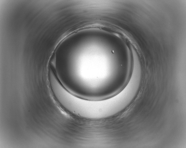 X0000071800858200607072050