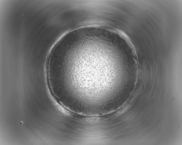 X0000071800859200607072050