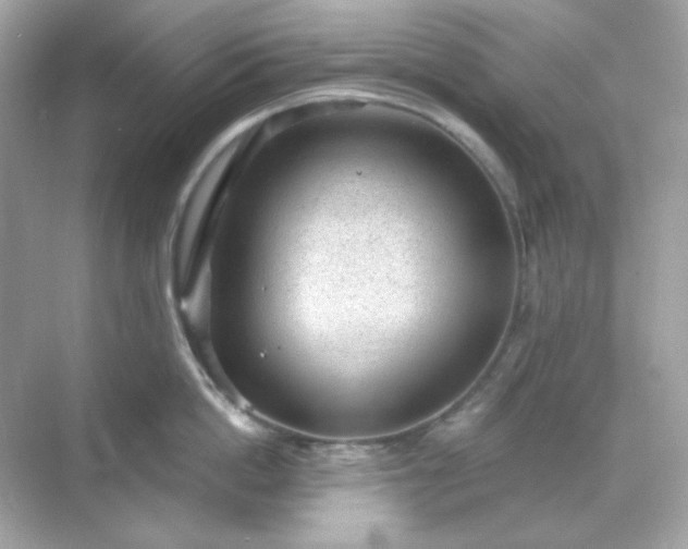 X0000071800862200607072050