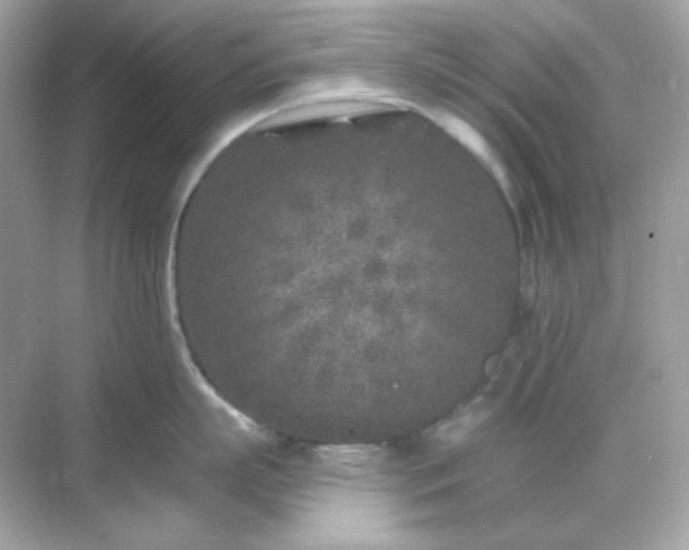 X0000071800863200607072050