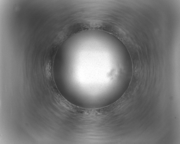 X0000071800866200607072049