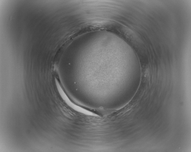 X0000071800868200607072049