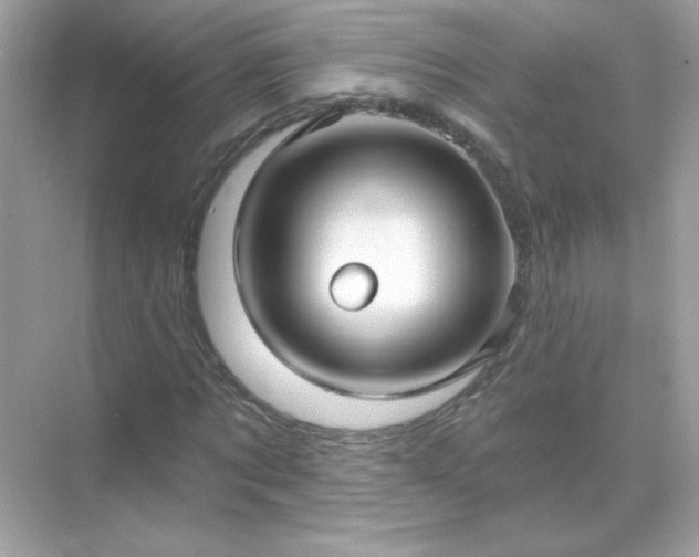 X0000071800869200607072049