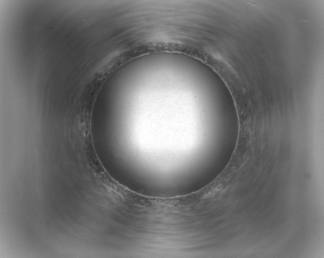 X0000071800870200607072049