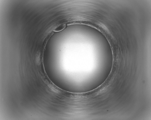 X0000071800873200607072049