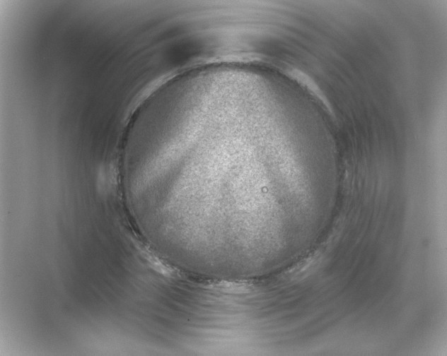 X0000071800874200607072049