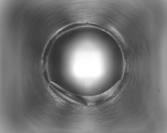 X0000071800876200607072049