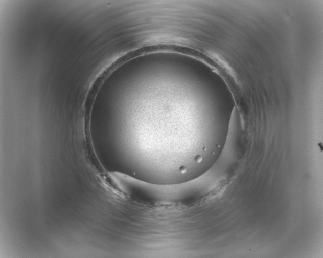 X0000071800877200607072049