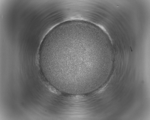 X0000071800879200607072049