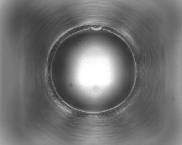 X0000071800880200607072049