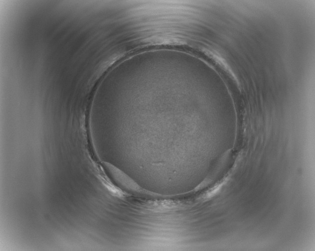 X0000071800881200607072049