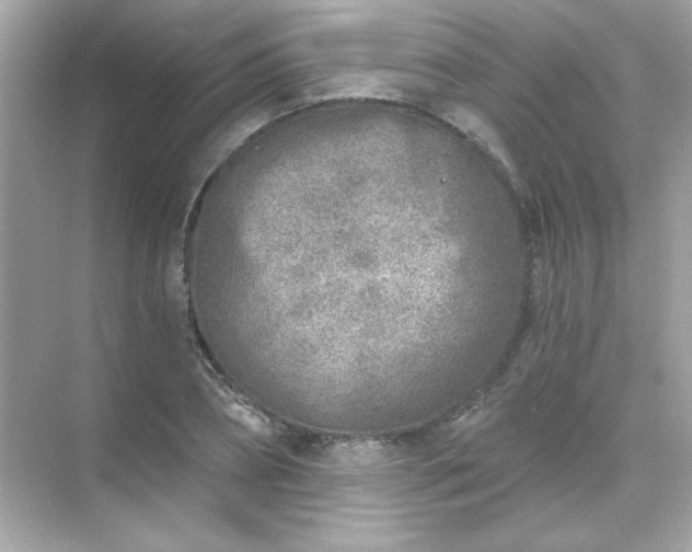 X0000071800882200607072049